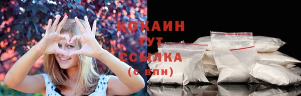 шишки Волоколамск