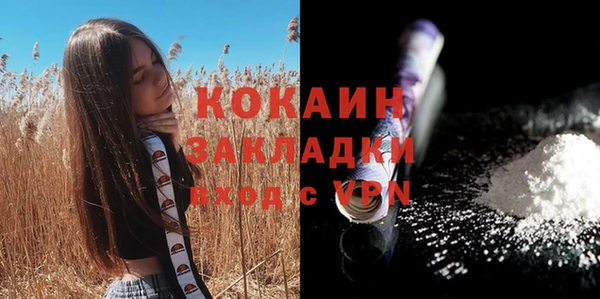 шишки Волоколамск