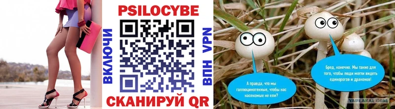 Псилоцибиновые грибы Psilocybine cubensis  Красногорск 