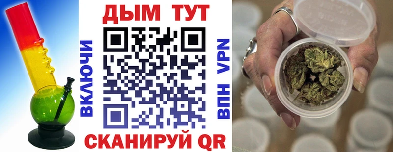 где купить   Красногорск  Марихуана индика 